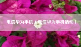电信华为手机（电信华为手机活动）