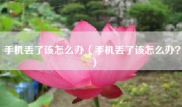 手机丢了该怎么办（手机丢了该怎么办？）