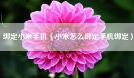 绑定小米手机（小米怎么绑定手机绑定）