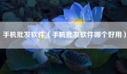 手机批发软件（手机批发软件哪个好用）