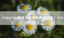 117853379586顺丰手机号码查询快递「117853379586」