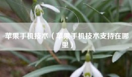 苹果手机技术（苹果手机技术支持在哪里）