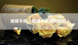 镀膜手机（镀膜手机真的假的）