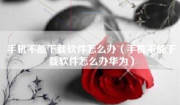 手机不能下载软件怎么办（手机不能下载软件怎么办华为）