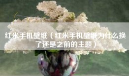 红米手机壁纸（红米手机壁纸为什么换了还是之前的主题）