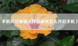 手机评论审核（评论审核怎么开启手机）