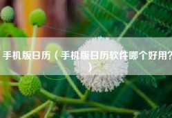 手机版日历（手机版日历软件哪个好用？）