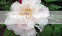 手机游侠下载（手机游侠app）