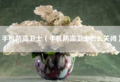手机防盗卫士（手机防盗卫士怎么关闭）
