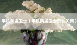 手机防盗卫士（手机防盗卫士怎么关闭）