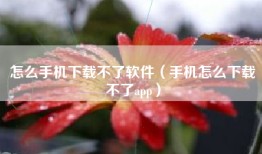 怎么手机下载不了软件（手机怎么下载不了app）