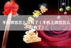 手机微信怎么没有了（手机上微信怎么没有了）