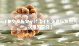 手机免费恢复照片（手机免费恢复照片视频的软件）
