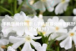 手机竖屏分辨率（手机屏幕分辨率高好还是低好）