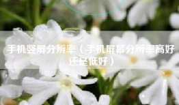 手机竖屏分辨率（手机屏幕分辨率高好还是低好）