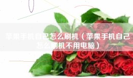 苹果手机自己怎么刷机（苹果手机自己怎么刷机不用电脑）