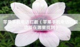 苹果手机电话拦截（苹果手机电话拦截功能在哪里找到）