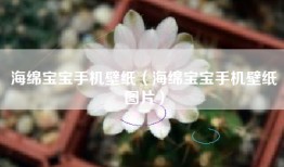 海绵宝宝手机壁纸（海绵宝宝手机壁纸图片）