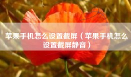 苹果手机怎么设置截屏（苹果手机怎么设置截屏静音）