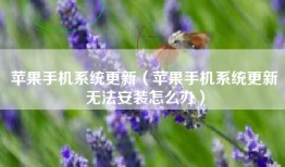 苹果手机系统更新（苹果手机系统更新无法安装怎么办）