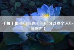 手机上能查征信吗（手机可以查个人征信吗？）