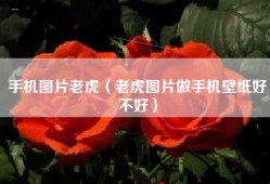 手机图片老虎（老虎图片做手机壁纸好不好）