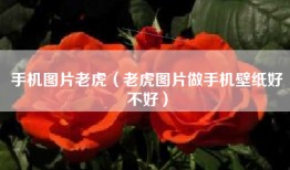 手机图片老虎（老虎图片做手机壁纸好不好）