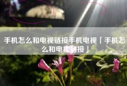 手机怎么和电视链接手机电视「手机怎么和电视链接」