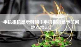 手机相机显示时间（手机相机显示时间地点水印）