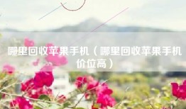 哪里回收苹果手机（哪里回收苹果手机价位高）