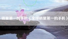销量第一的手机（全球销量第一的手机）