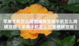 苹果手机怎么设置横屏竖屏手机怎么调横竖屏「苹果手机怎么设置横屏竖屏」