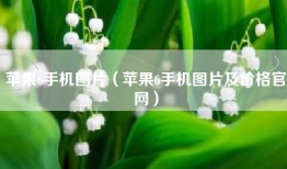 苹果6手机图片（苹果6手机图片及价格官网）