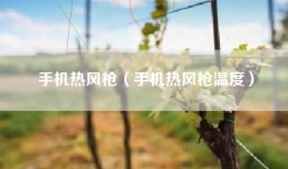 手机热风枪（手机热风枪温度）