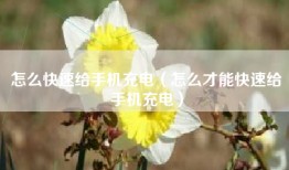 怎么快速给手机充电（怎么才能快速给手机充电）