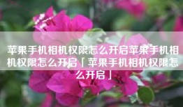 苹果手机相机权限怎么开启苹果手机相机权限怎么开启「苹果手机相机权限怎么开启」