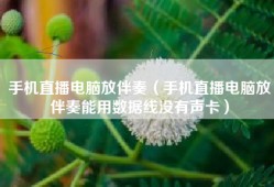 手机直播电脑放伴奏（手机直播电脑放伴奏能用数据线没有声卡）