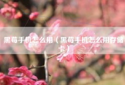 黑莓手机怎么用（黑莓手机怎么用存储卡）