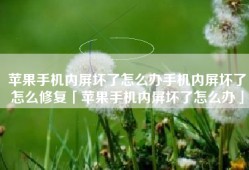苹果手机内屏坏了怎么办手机内屏坏了怎么修复「苹果手机内屏坏了怎么办」