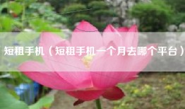 短租手机（短租手机一个月去哪个平台）