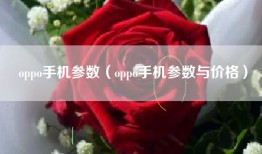 oppo手机参数（oppo手机参数与价格）