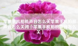 苹果手机相机声音怎么关苹果手机拍照声音怎么关闭「苹果手机相机声音怎么关」