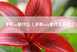 手机ux是什么（手机uwb是什么意思）