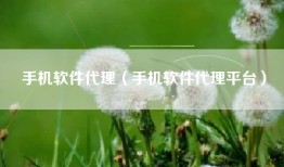 手机软件代理（手机软件代理平台）
