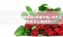 苹果手机怎么删除旧id苹果手机id号怎么更换「苹果手机怎么删除旧id」