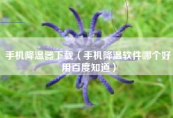 手机降温器下载（手机降温软件哪个好用百度知道）