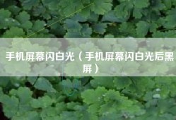 手机屏幕闪白光（手机屏幕闪白光后黑屏）