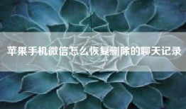 苹果手机微信怎么恢复删除的聊天记录