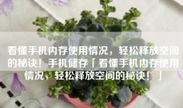 看懂手机内存使用情况，轻松释放空间的秘诀！手机储存「看懂手机内存使用情况，轻松释放空间的秘诀！」