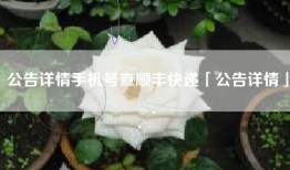 公告详情手机号查顺丰快递「公告详情」